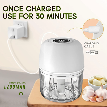 EasyCut Mini Electric Food Chopper